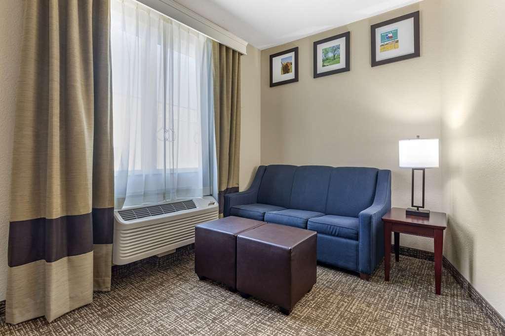 Comfort Suites Plano - Dallas North Pokoj fotografie