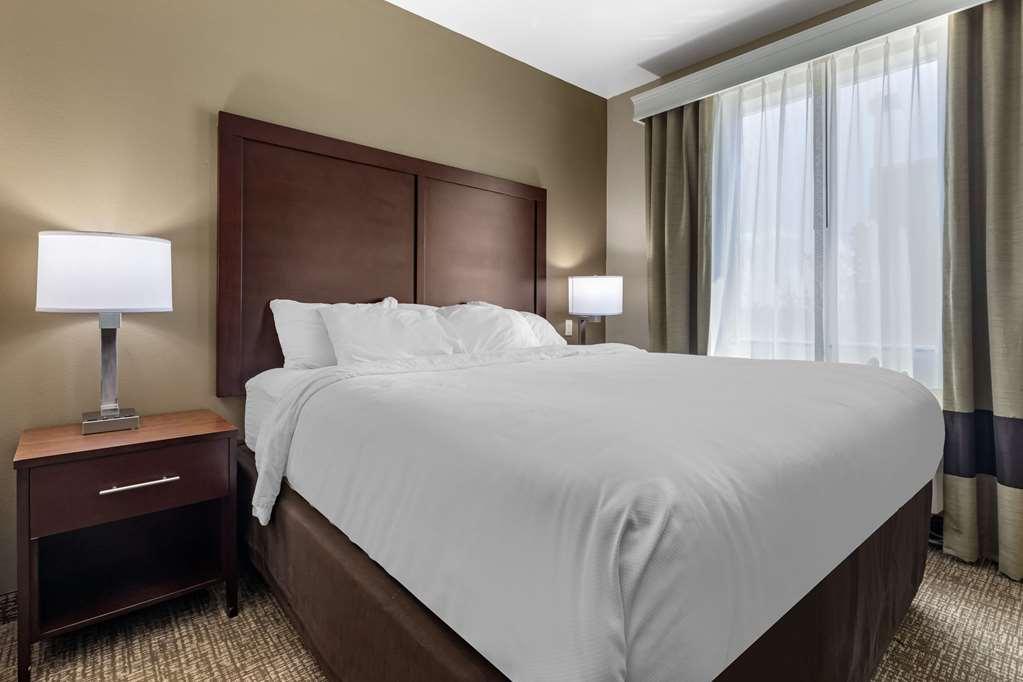Comfort Suites Plano - Dallas North Pokoj fotografie