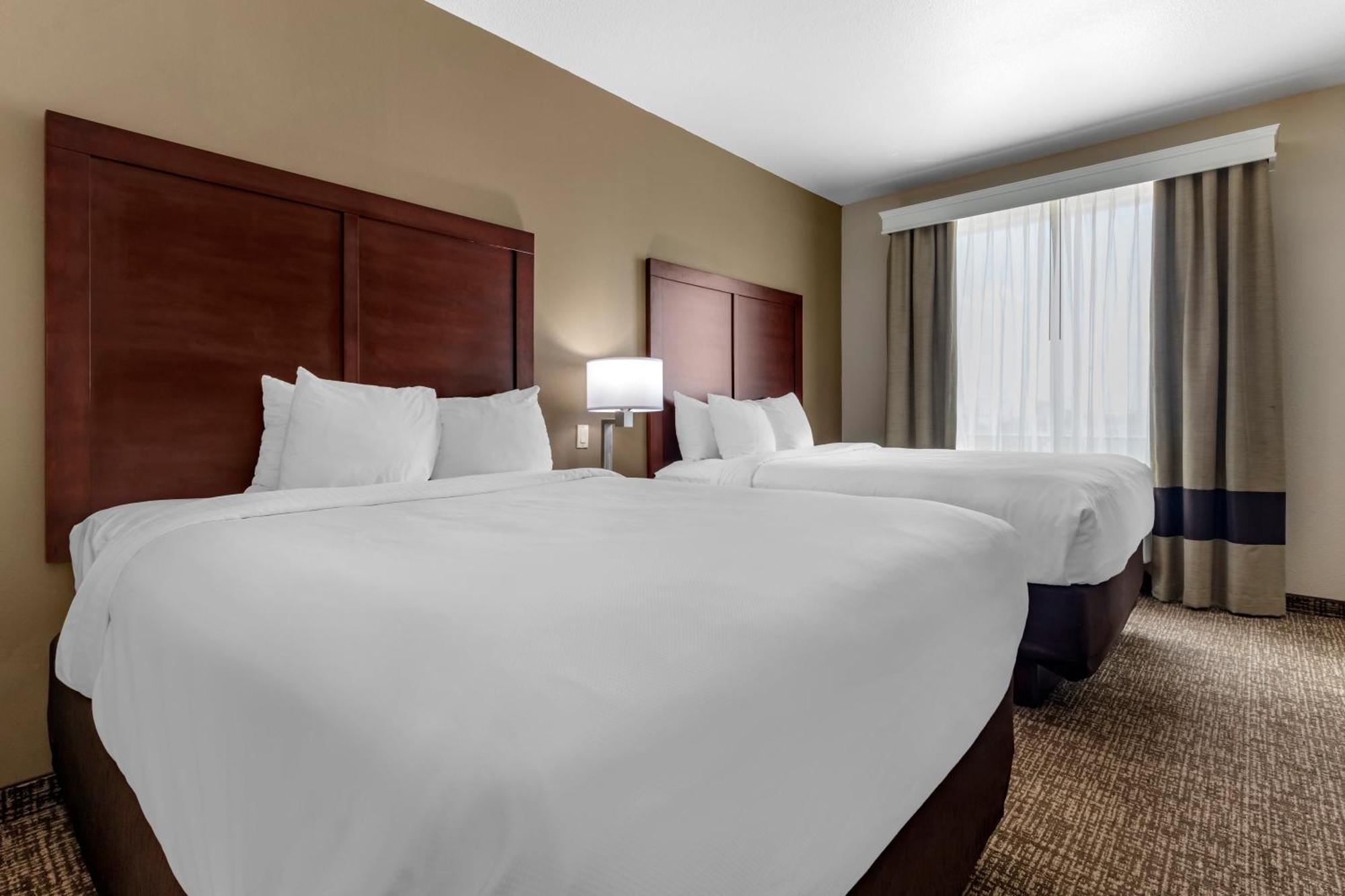 Comfort Suites Plano - Dallas North Exteriér fotografie